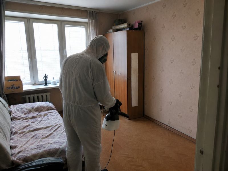 Тараканы в панельной пятиэтажке — год безуспешной борьбы