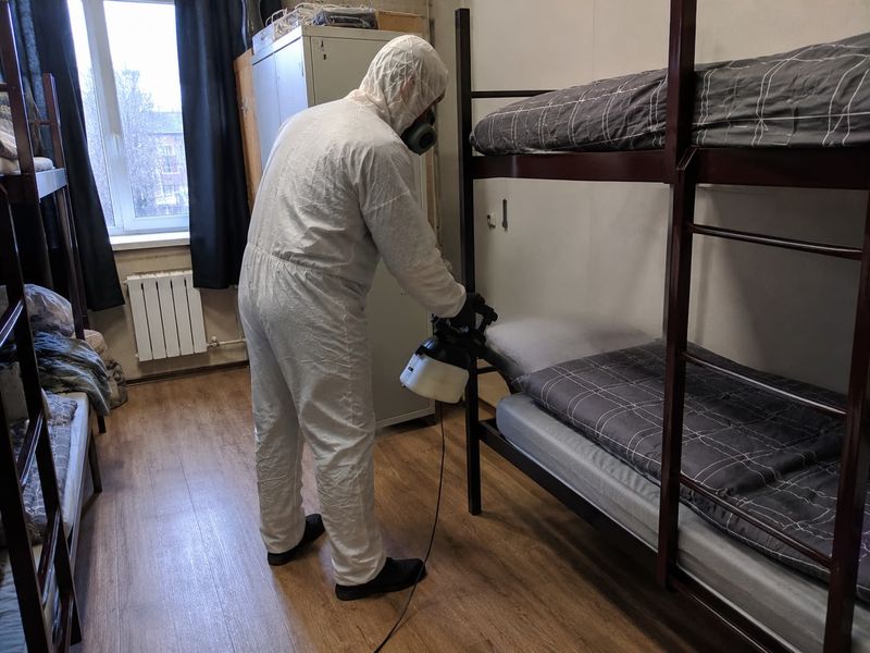 Клопы в хостеле — отзывы на Booking рушили бизнес